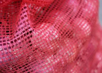 Singhal Red PP Leno Mesh Bags
