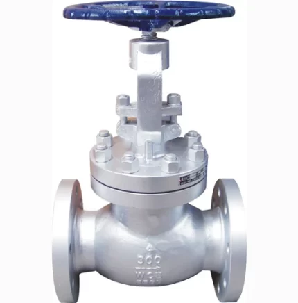 Globe Valve